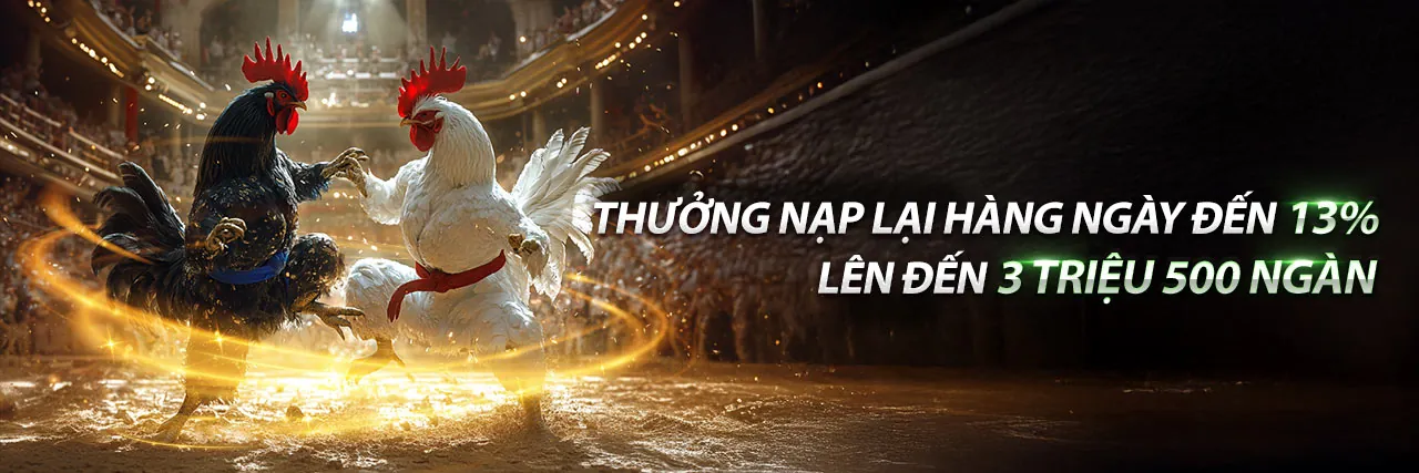 Chương trình Đại lý TA88biz 2026